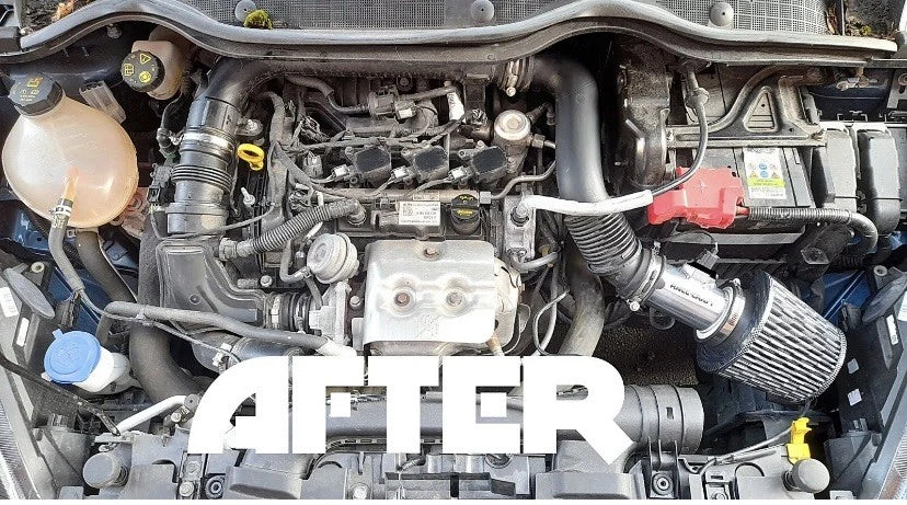 Ford Fiesta 1.0 EcoBoost Intake | 2012–2018